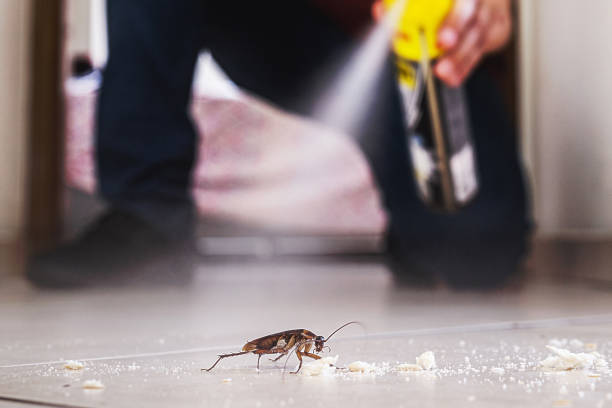 Pest Control Cost in Wallace, NC
